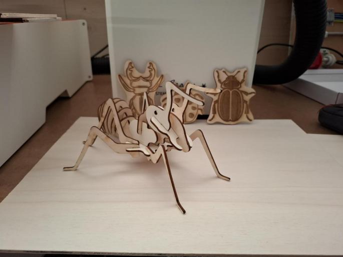 Lasercutter